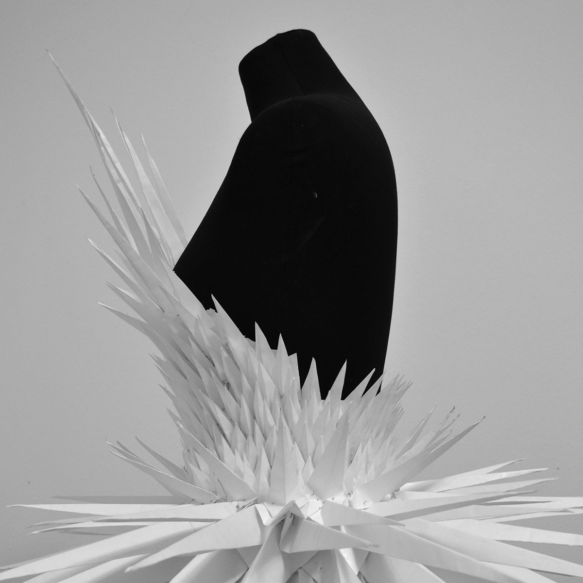 Vertical Project Image